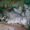котята............ #16536