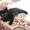 Кошки котята котенок #46056