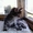 МИЛЫЙ КОТЕНОЧЕК ИЩЕТ ДОМ #43002