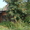 Продается дача,  35 км от Перми,  175 тысяч рублей #63624