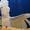 Какаду белохохлый или какаду Альба – ручные птенцы #99385