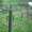 Ограда на могилу 2мх2м ширина 50см. новая не крашенная сборная крепеж . #112325