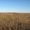 Продам земельный участок 418, 89 соток #149454