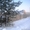 Зем участок г. Тюмень,  д. Паренкино  #101415