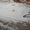 Продам Базу,  Северный #163932