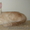 Шотландские котики . #158610