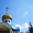 Продам кровельные листы под золото #183539