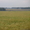 Продам землю.9 га. д.Серебряково #192042