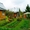 Продам дачу в Ленинградской области #241156