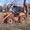 Экскаватор-погрузчик Fiat Kobelco FB200  #240765