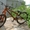 GT Ruckus UF 24 #218569