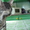 котенок донского сфинкса #246074