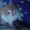 КОТЯТА в добрые руки!!! #245236