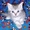 Котята из рекламы Вискас #271740