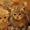 Котята ищат свой дом! #250901