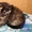 котята-очаровашки #256829