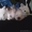zed1608@yandex.ru #248801