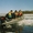 лодки РИБ складные надувные пластиковые фирмы Skyboat #285334