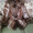 Омск Юлия 89658742490 Fej2010.safina@yandex.ru #303962