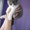 ПРОДАЁТСЯ КОРОТКОШЁРСТНЫЙ БРИТАНСКИЙ КОТЁНОК #298038
