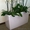 Комнатные растения и кашпо в Фитосервисе по доступным ценам #288802