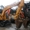 Продается экскаватор Hyundai Robex 2000W-7. #325716