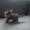 Отдам полупородистых котят #335098