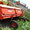 Ботвоудалитель AMAC LK-4.  #317098