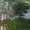 Срочно продаю дачу в Винновке #346041