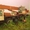 автокран 25 тонн продаю #370397