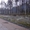 Инженерно подготовленный участок в сосновом лесу.  #454373