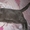 Русский голубой котик #290966