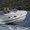 Спорт-круизер Cobalt 263 Caddy Cabin #525023