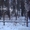 Земля в Перевалово #529563