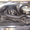 Продаётся микроавтобус MERCEDES-BENZ 308 CDI SPRINTER #554691