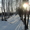 продаю приватизированный сад #554108