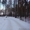 Участок в Перевалово в сосновом лесу #529526