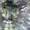 ТНВД на ровер 45 (rover 45) 2000 2.0 л #537508