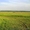 Петергоф/ участок #637537