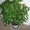 vedernikova.gala69@yandex.ru 89635013106 #651123