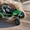 Новые квадроциклы arctic CAT 2012 г.в. уже в наличии #646518