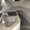 катер crownline 268 #669827