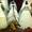 Отпаривание одежды.Свадебных платьев и т.д #648452
