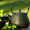 чайная лавка............... #697306