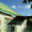 СРОЧНО НЕДОРОГО ПРОДАЕТСЯ ДАЧА #920968