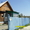 Продам сад 25 соток #948718