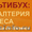 Бухгалтерские услуги и консультирование по 1С #952153