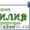 Уборка квартир,  мойка окон. #985173