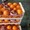 Апельсины оптом от производителя #985911