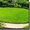 Рулонный газон в краснодаре,  купить. Ландшафтный дизайн. #1057375